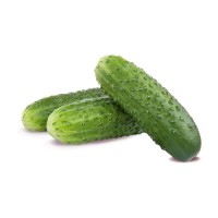 Prickly Cucumber